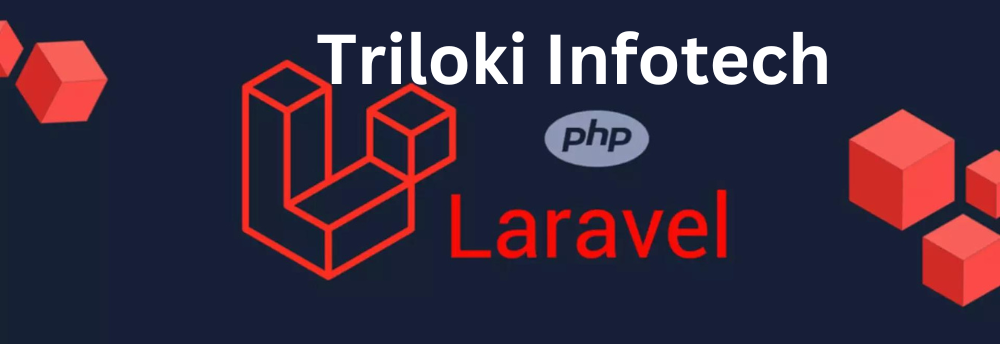 laravel company in patna